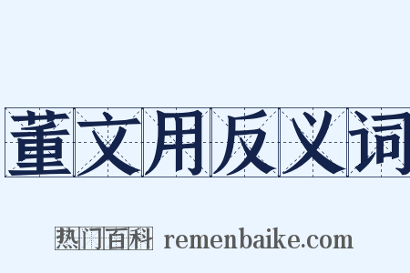 董文用反义词是什么意思的图片